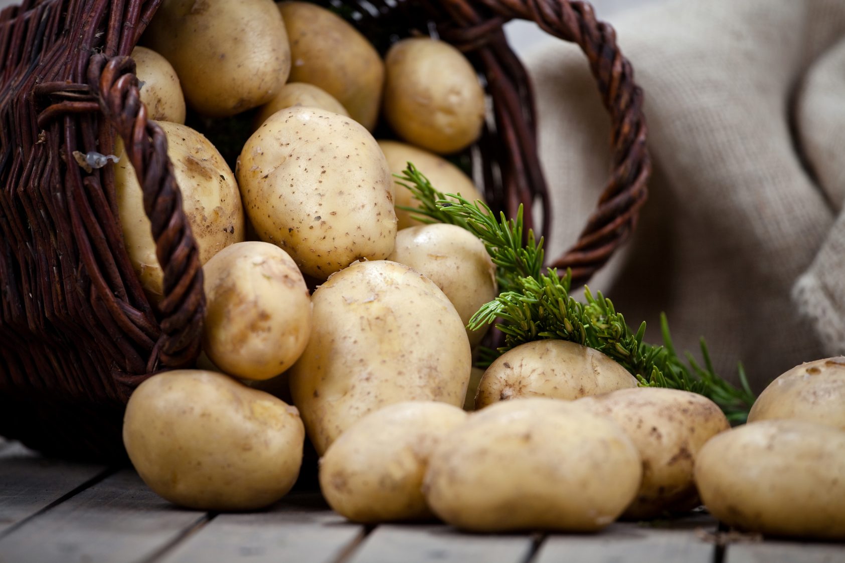Kartoffel - Lieblingsgemüse der Deutschen - Münchner Wochenmärkte